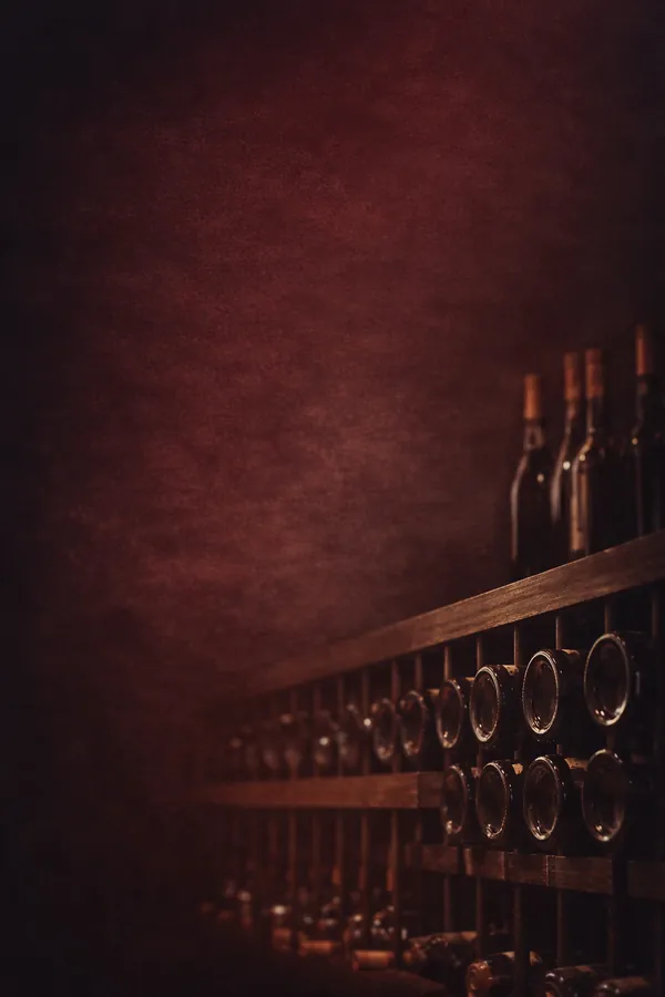 Wine bottles resting in a dark cellar rack